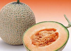 拉莫斯吃哈密瓜,拉莫斯畅享哈密瓜美味时光