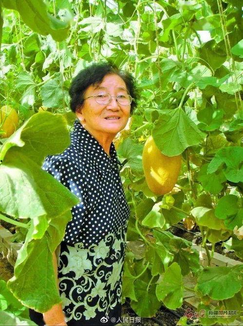 吃瓜不忘育瓜人,人生感悟与成长启示