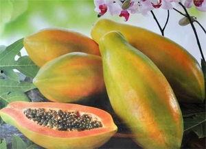 立秋吃瓜的意义,传承千年的丰收寓意与养生智慧