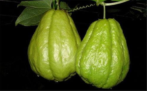 佛手瓜怎么做给宝宝吃,营养美味，助力宝宝健康成长