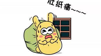 吃瓜群众坐船,一场别开生面的水上之旅