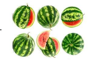 景城花园吃瓜,吃瓜群众的热议焦点