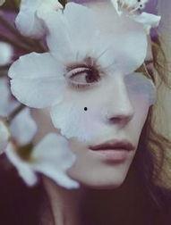 花颜吃瓜后续剧情