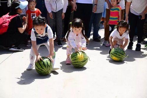 全民吃瓜节,一场全民狂欢的夏日盛宴